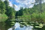 Im Oberbek-Kanal
Im Oberbek-Kanal