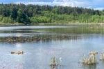 Am kleinen Zotzensee
