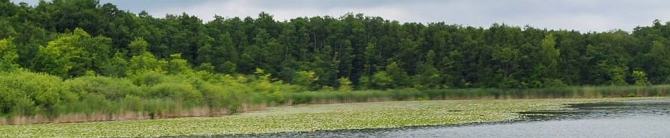 Bild im Header zeigt den Ferienpark aus der Luft